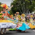 cortejo festa flor