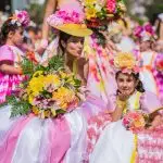 festa flor